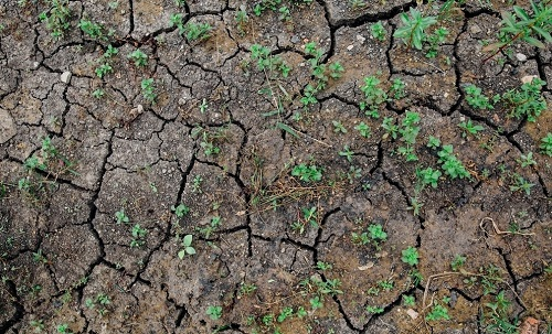 1668051332186057.png image.png