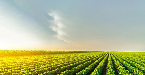 土壤墑情監(jiān)測是什么？土壤墑情監(jiān)測系統(tǒng)的作用是什么？