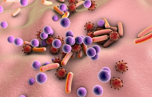 1671516186679183.png image.png