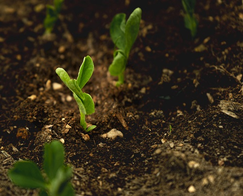 1672377614328107.png image.png