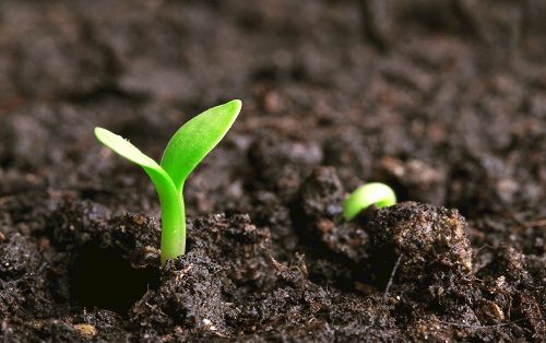 1672982116175599.png image.png