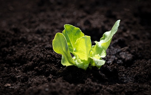 1673418680170897.png image.png