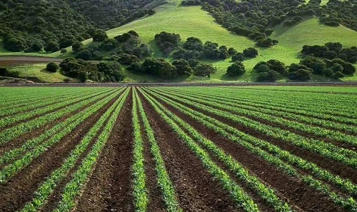 1673847419194678.png image.png