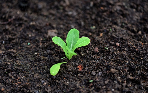 1674884516104240.png image.png