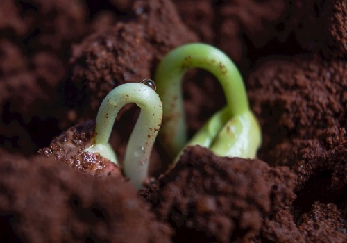 1675738374693449.png image.png