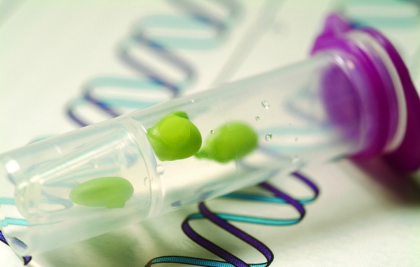 種子發(fā)芽所需要的條件，種子發(fā)芽箱都可以提供嗎？