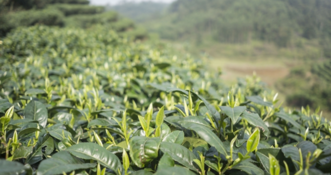 高智能土壤養(yǎng)分檢測儀在實驗室外如何進行土壤檢測