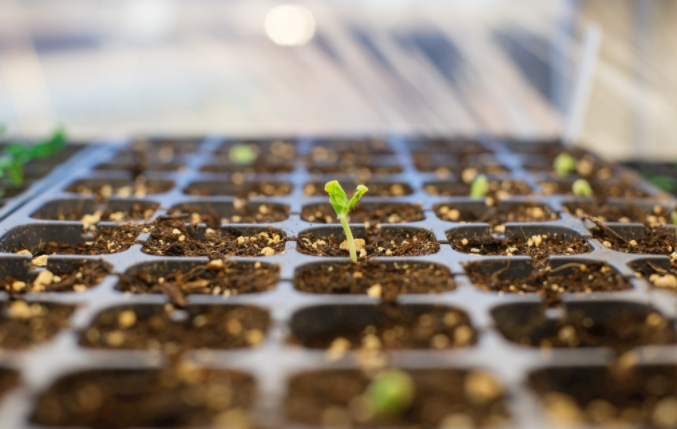 農(nóng)業(yè)中用得到哪些土壤快速檢測儀？（農(nóng)場必備的土壤檢測神器）