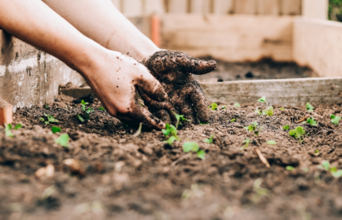 土壤墑情監(jiān)測系統(tǒng)與普通儀器對比有何優(yōu)勢？(土壤墑情監(jiān)測系統(tǒng)的作用)