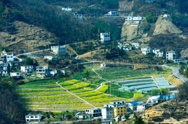 土壤墑情監(jiān)測系統(tǒng)在哪兒建站都行嗎？土壤墑情監(jiān)測系統(tǒng)的建站原則和選址要求