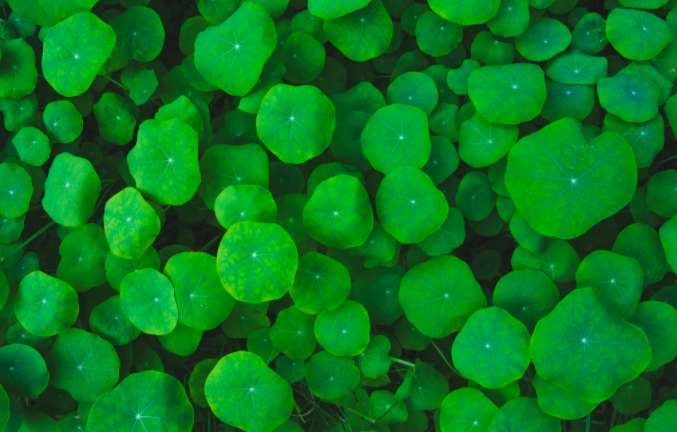 土壤緊實度儀使用后的維護工作非常重要，做到這五點就行