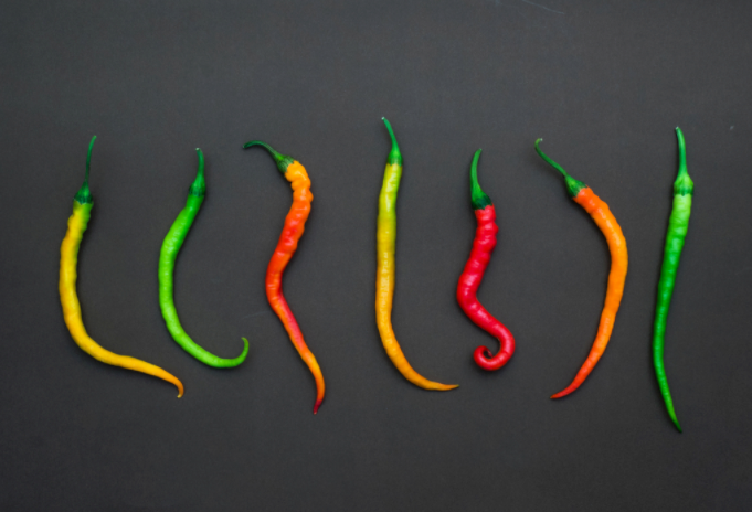 如何評價一種辣椒有多辣?？辣椒素檢測儀的工作原理及介紹