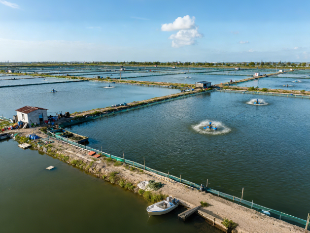 水產品抗生素檢測的國家標準有哪些?水產抗生素檢測行業(yè)的市場規(guī)模有多大?