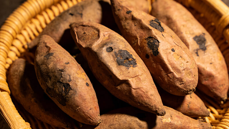 農(nóng)藥殘留檢測儀準(zhǔn)確鎖定“毒紅薯”元兇，克百威、甲拌磷檢測能力再升級(jí)