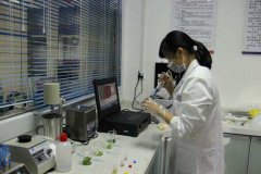 農(nóng)殘檢測設備8通道是什么意思